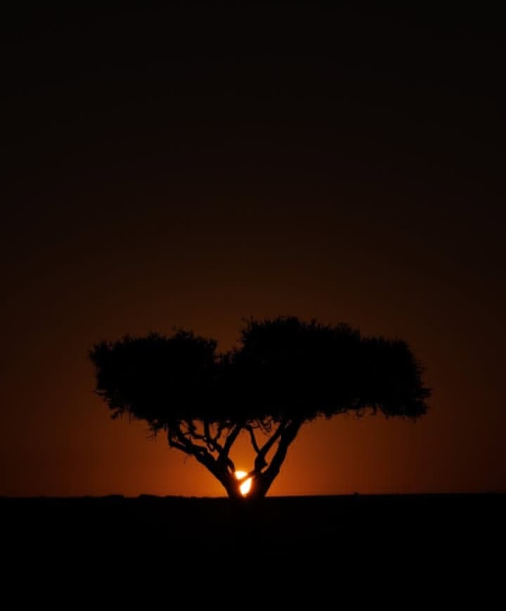 1000707481.jpg